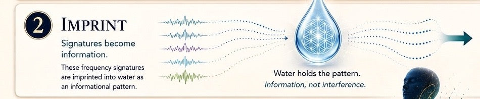 Step 2 — Imprint: signatures become information. These frequency signatures are imprinted into water as an informational pattern. Water holds the pattern — information, not interference.